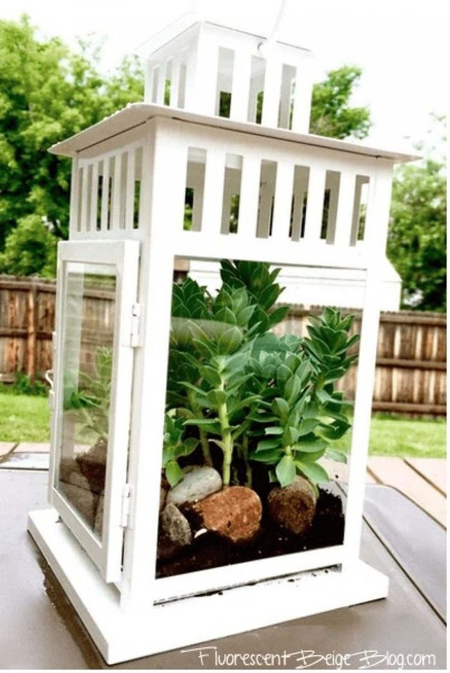 Terracotta Lantern Succulent Garden