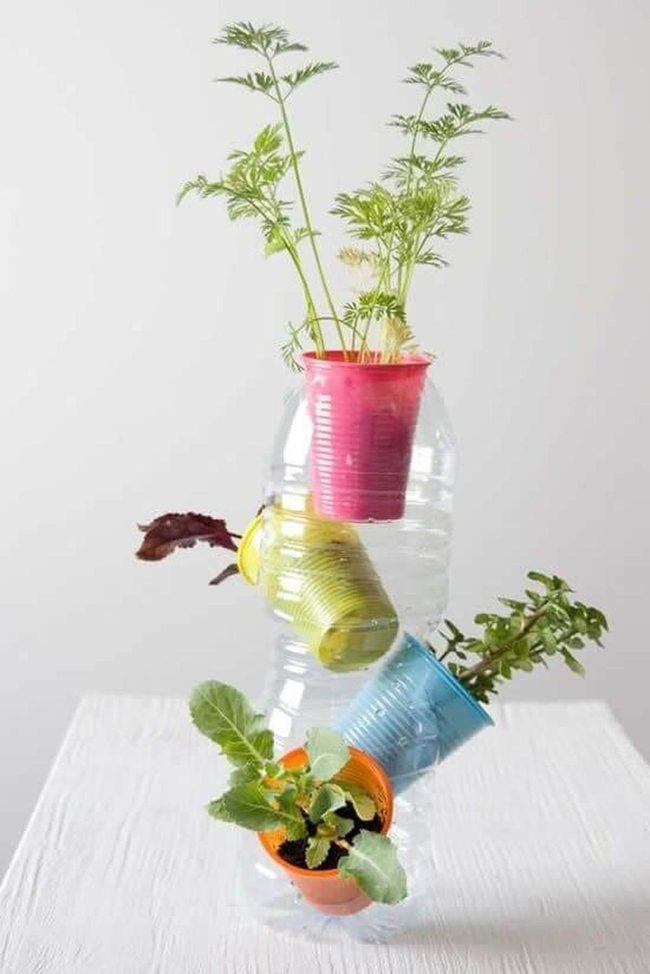 Layered Recycled Bottle Garden