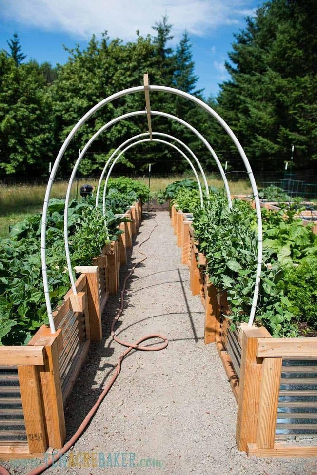 Wooden Archway With Living Vines
