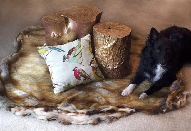 Black Dog Wooden Corner Sanctuary
