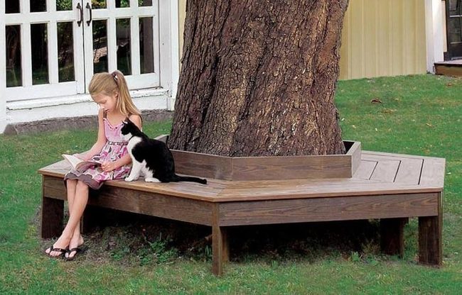 Wooden Circle Seat Around Tree