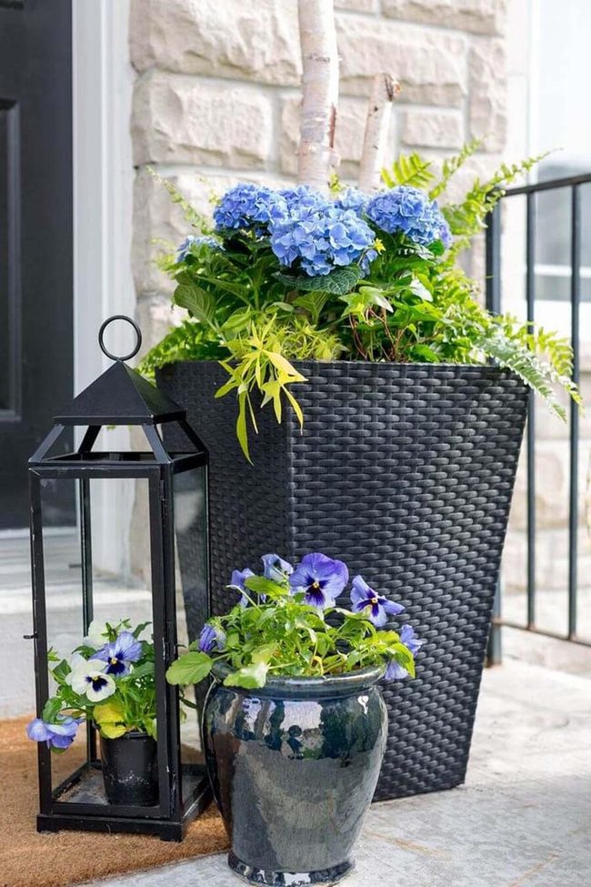 Porch Blooms Burst Alive