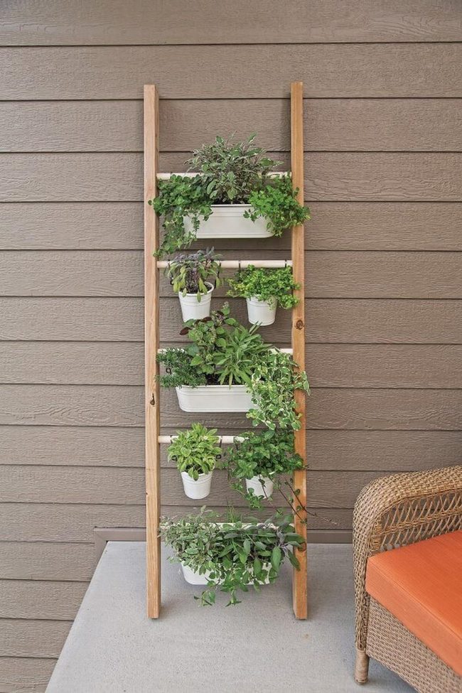 Vertical Green Wall Gardens