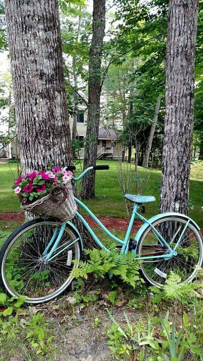 Aqua Bicycle Blooming Planter