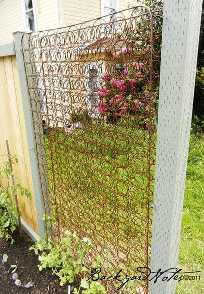 Living Light Through Metal