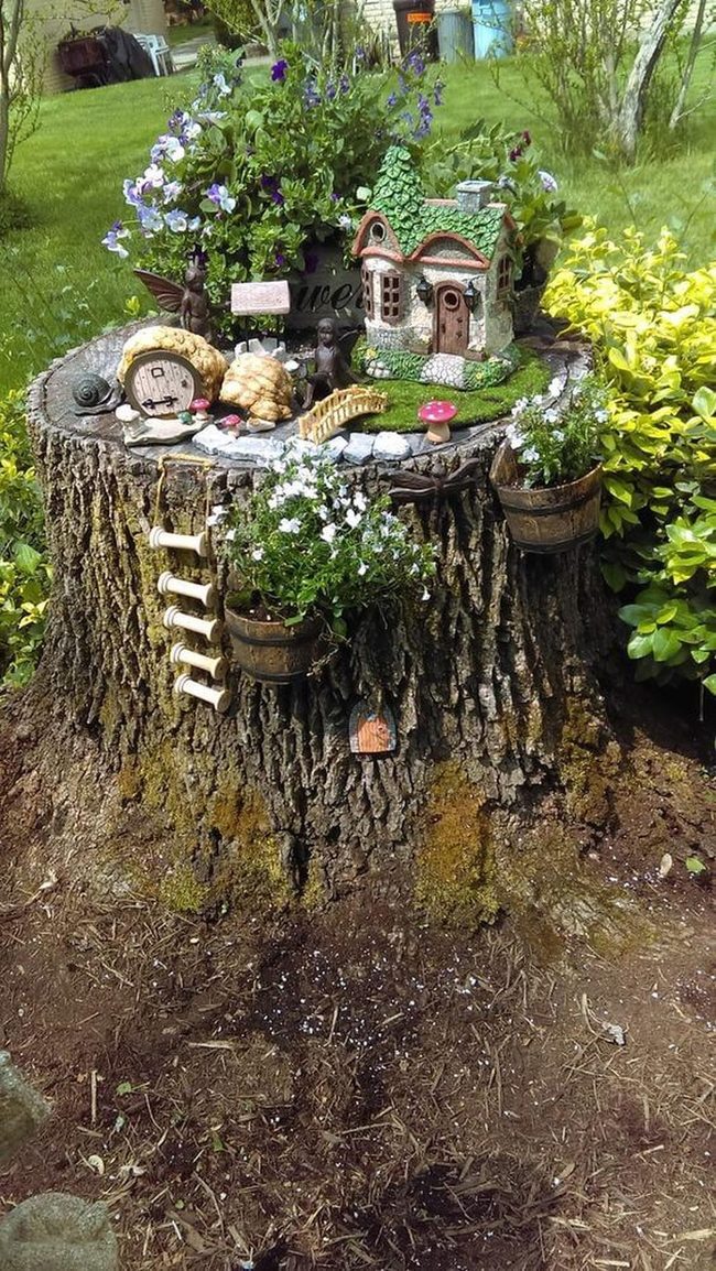 Tree Stump Miniature Garden