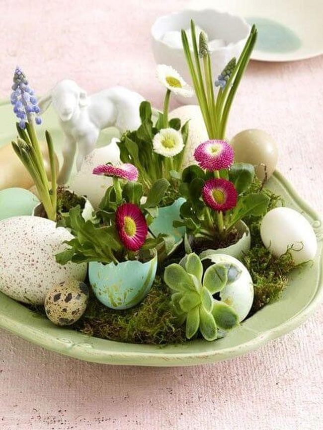 Eggshell Vases With Moss Base