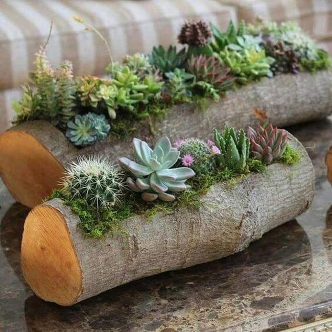Reclaimed Wood Succulent Planter