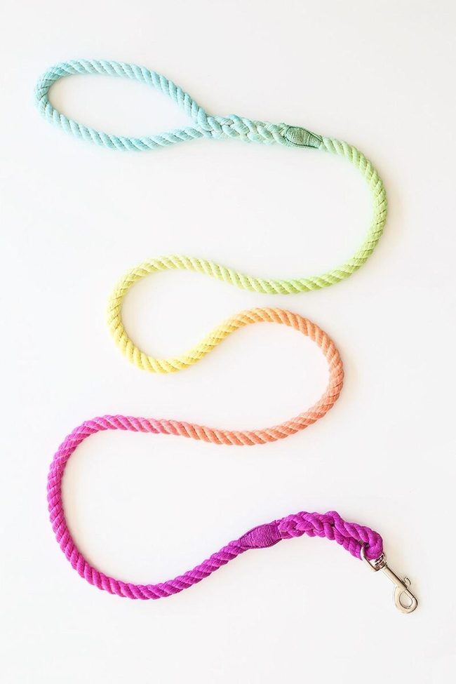 Braided Rainbow Pet Leash