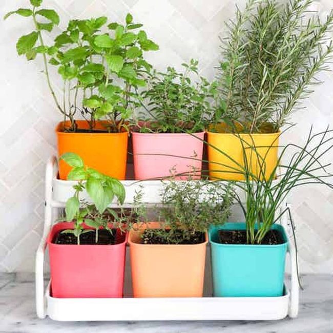 Painted Herb Pots Kitchen