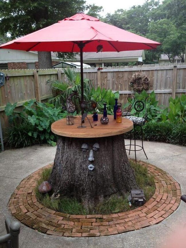 Wooden Stumps Outdoor Gathering