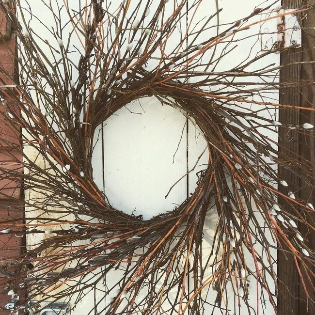 Brown Twigs White Buds