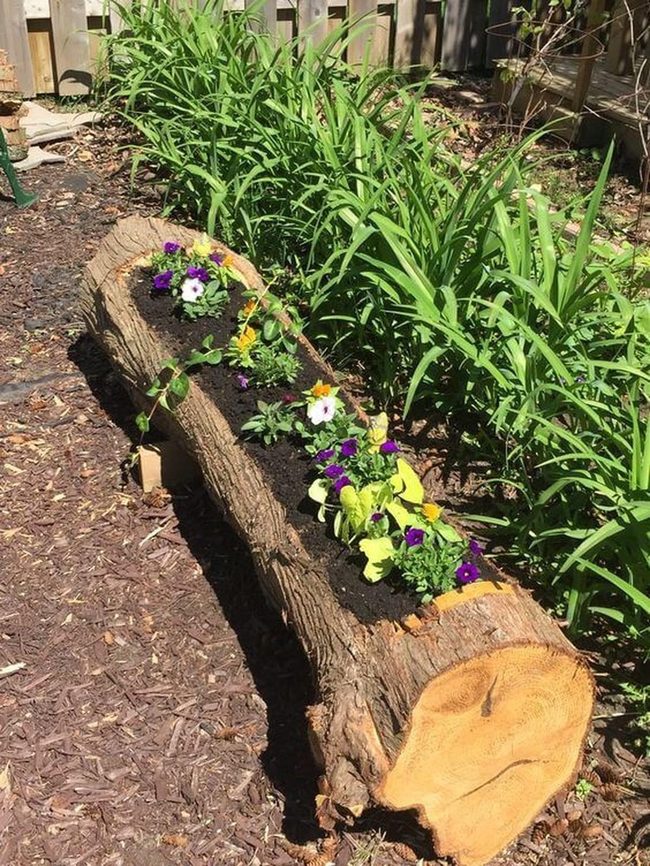 Layered Blooms In Compact Planters