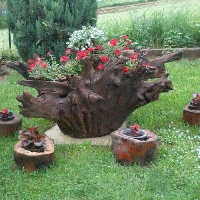 Gnarled Wood Stump Planters