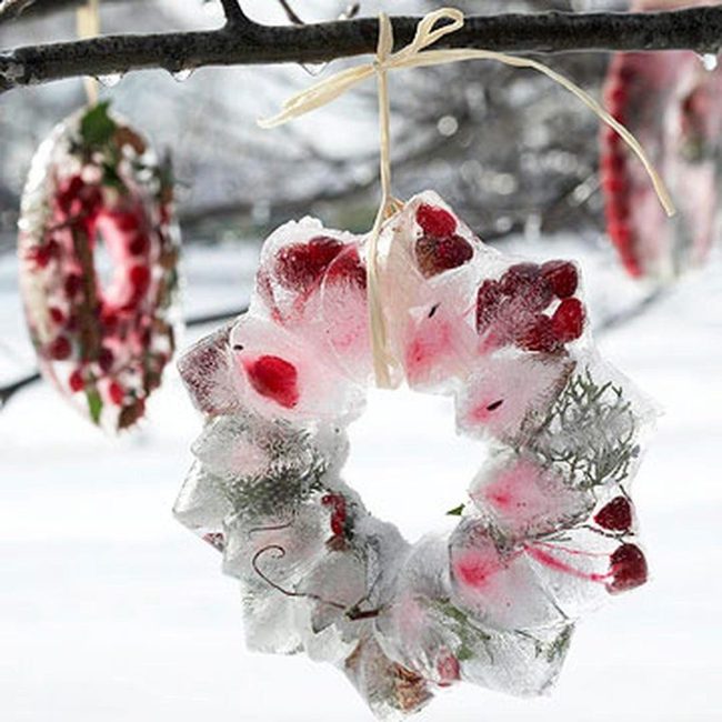 Frozen Berries In Ice Circle