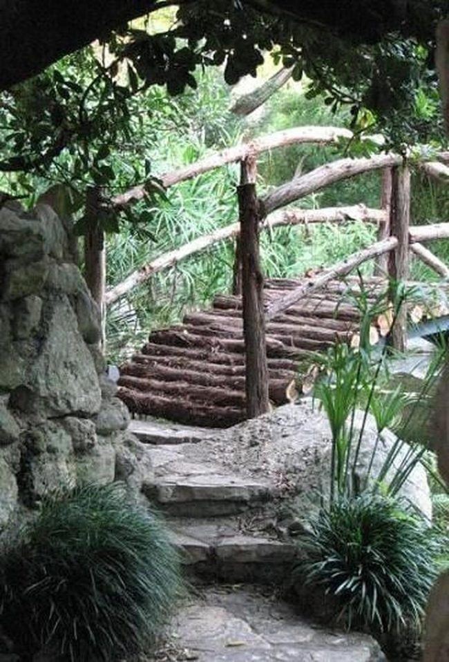 Reclaimed Log Bridge Over Water
