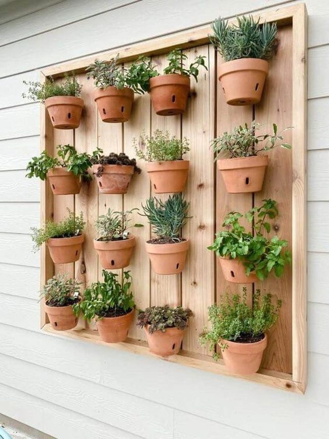 Fresh Herbs Within Reach