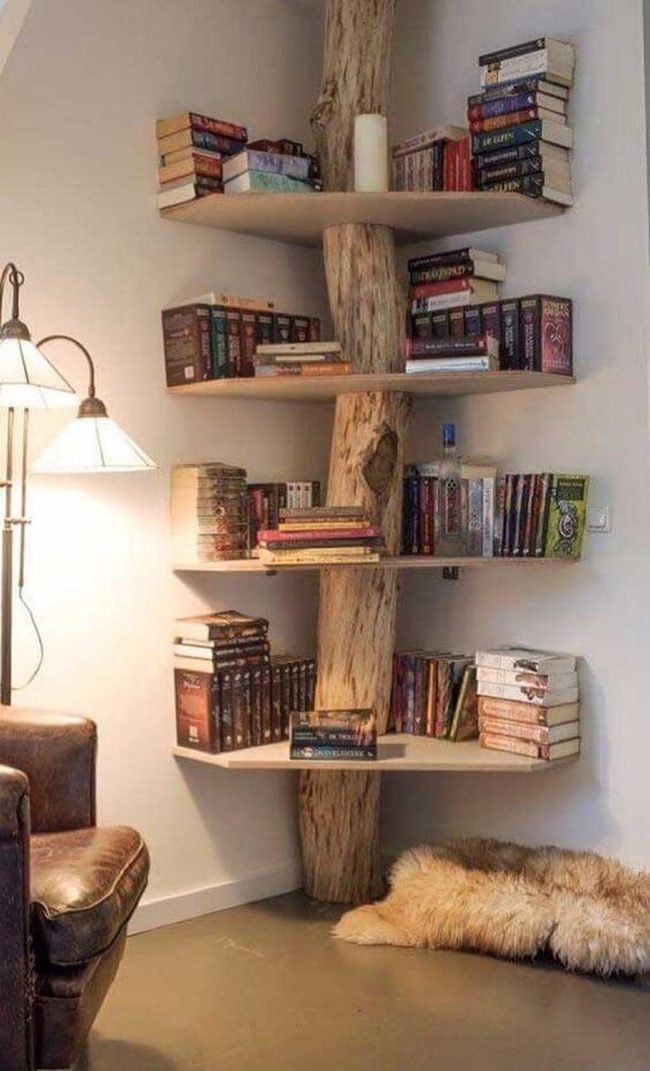 Tree Trunk Shelves Natural Wood Storage