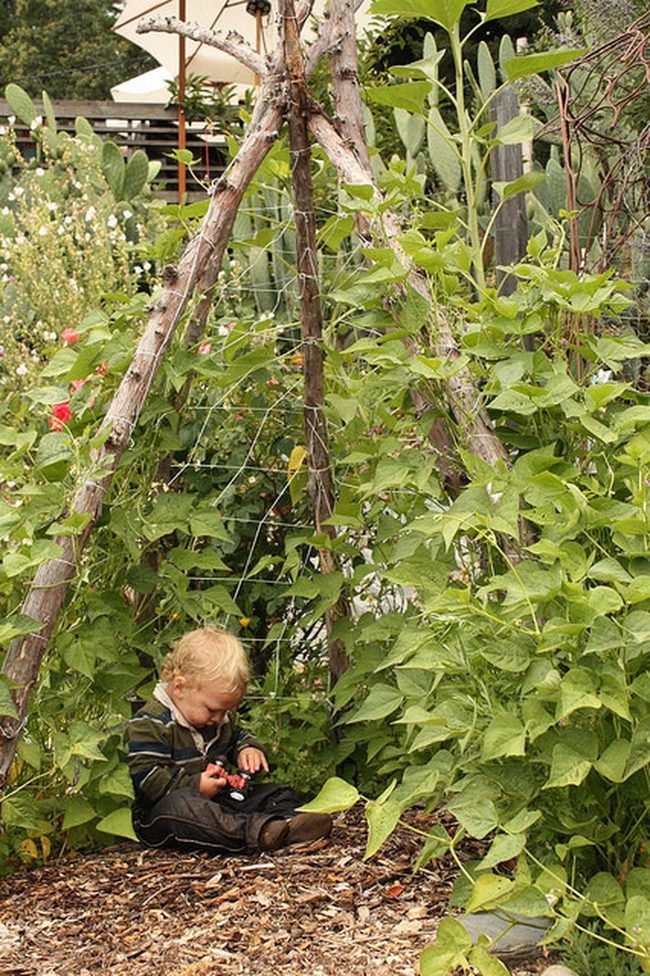 Wooden Triangle Climbing Frame
