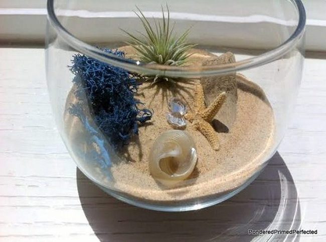 Miniature Succulents In Glass