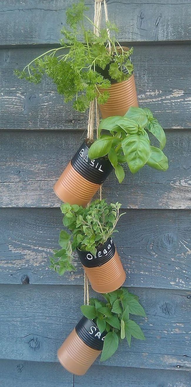Tin Can Herb Wall