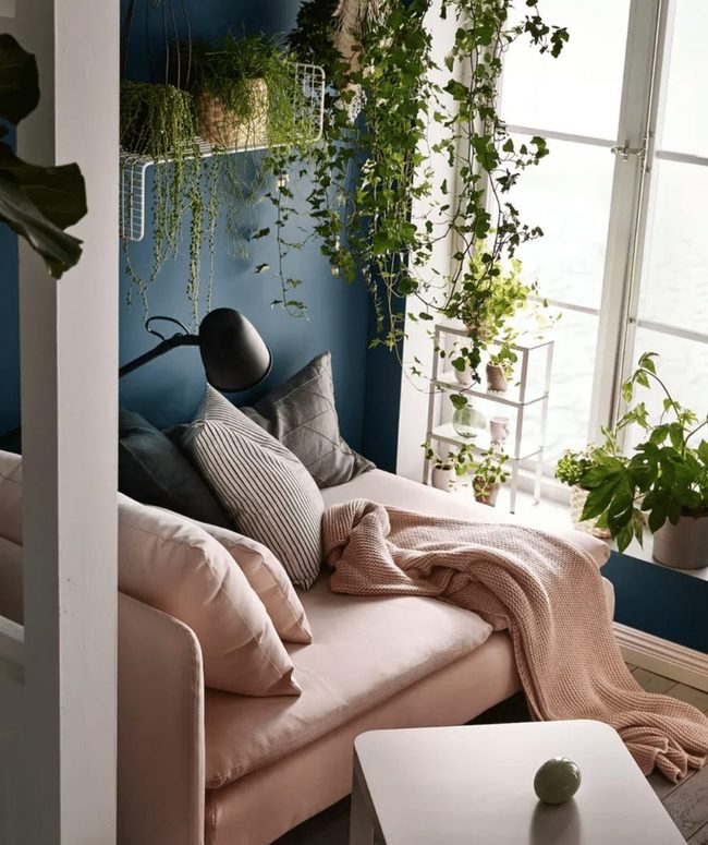 Golden Pothos Cascades Through Home