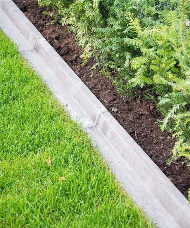 Green Lawn With Dark Soil Borders