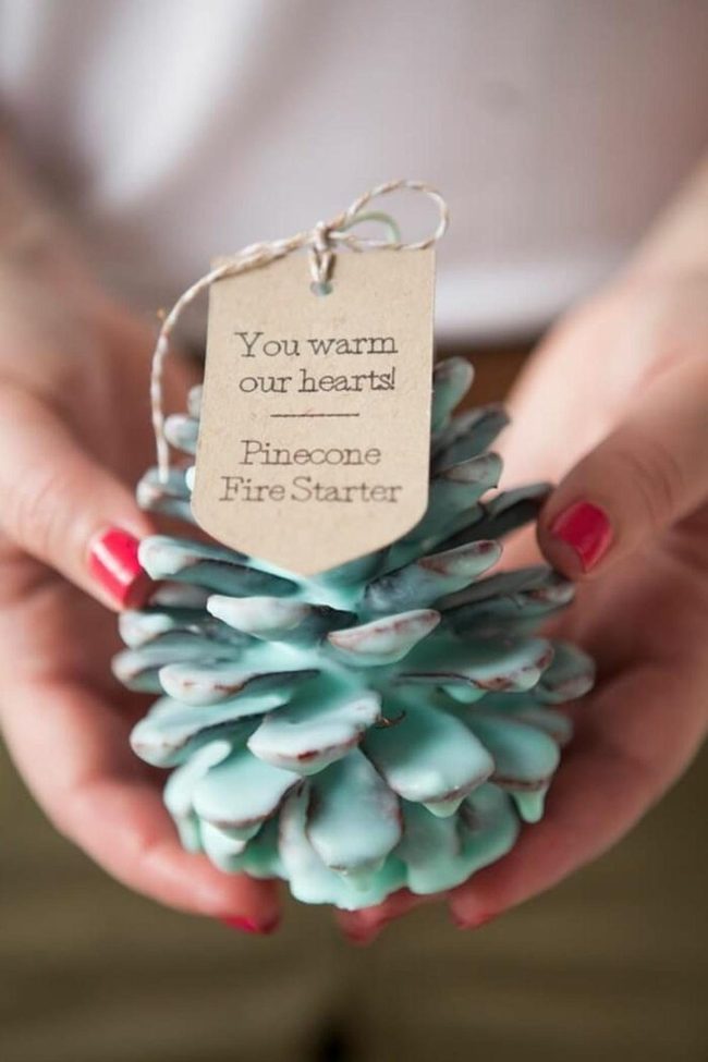 Scented Pinecone Fire Starters