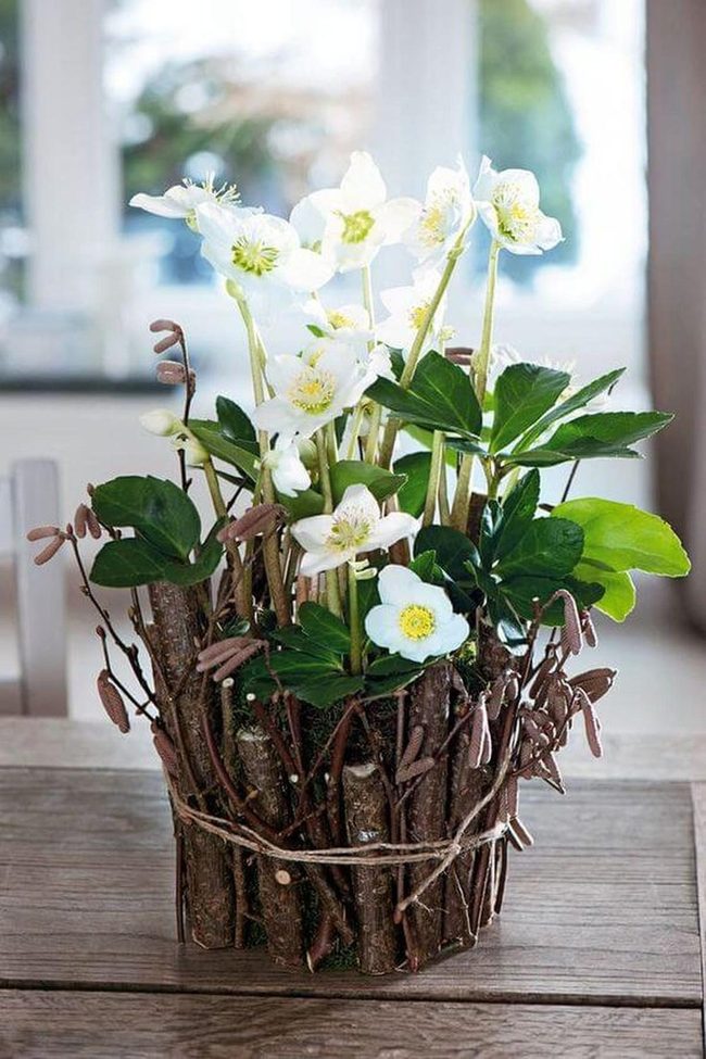 White Blooms With Natural Branches