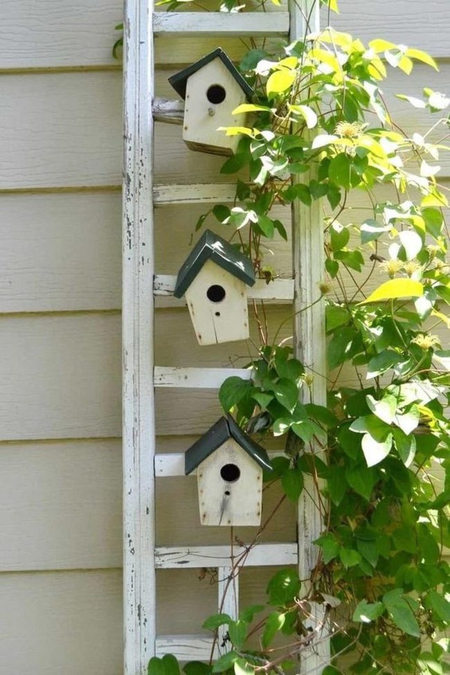 White Birdhouses On Weathered Ladder