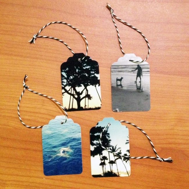 Tropical Palms And Ocean Waves