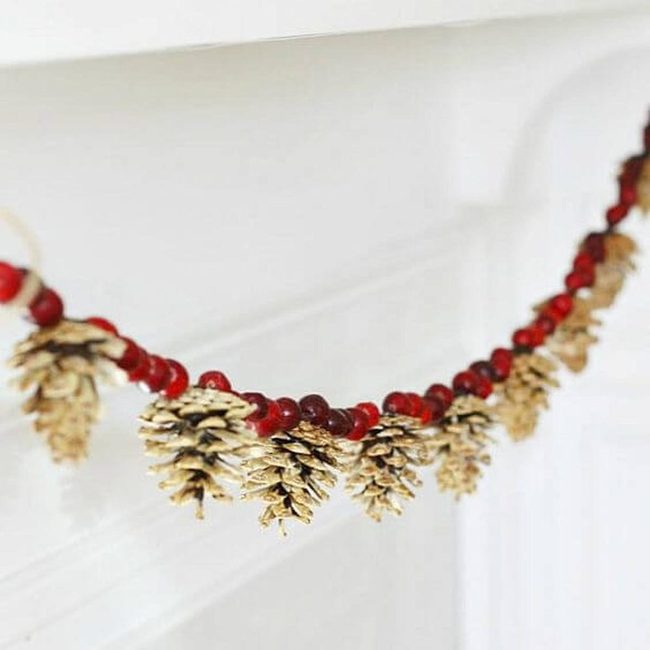Pinecones And Crimson Berries