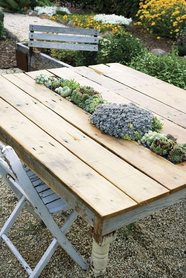 Wooden Tables With Living Succulents