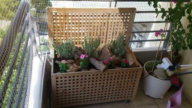 Wooden Lattice Planter Garden