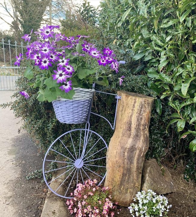 Purple Flowers Bicycle Planter