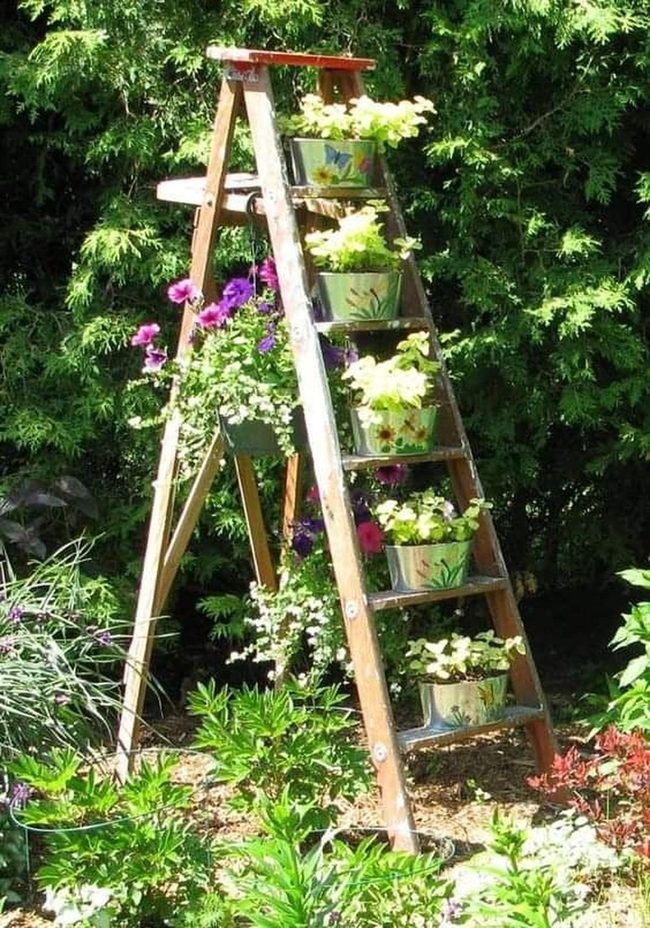 Wooden Ladder Flower Wall