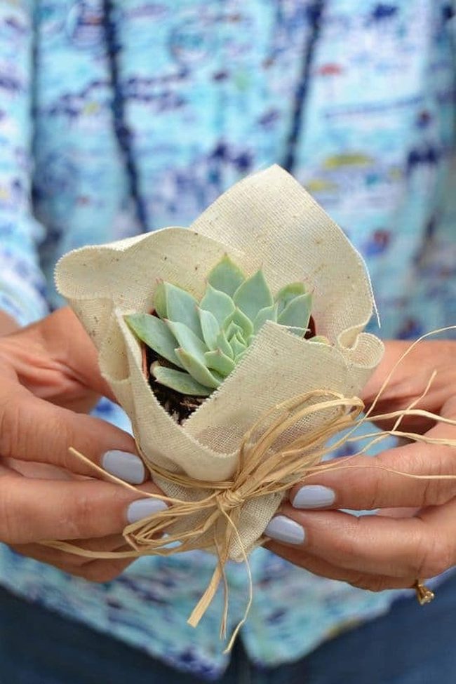 Fabric Wrapped Succulent Holders