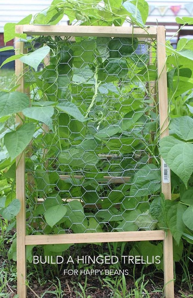 Hexagonal Wire Over Natural Wood