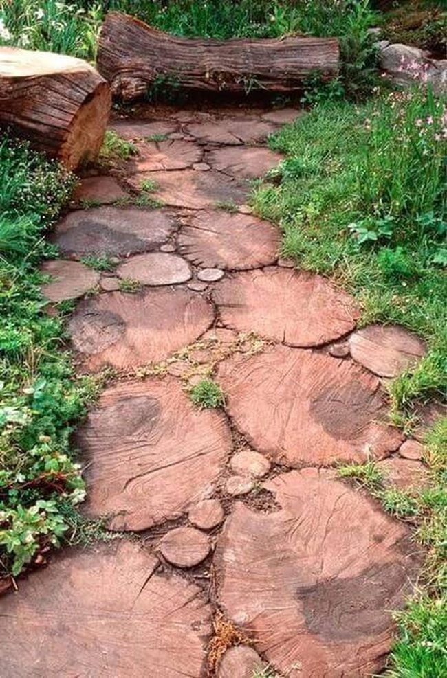 Natural Wood Stump Pathway