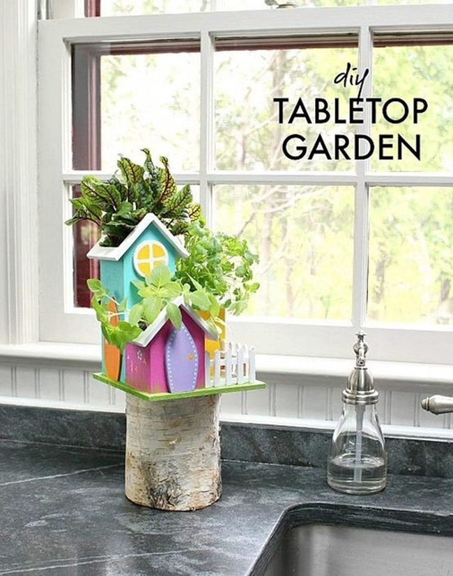 Succulent Birdhouses Tiny Living Art