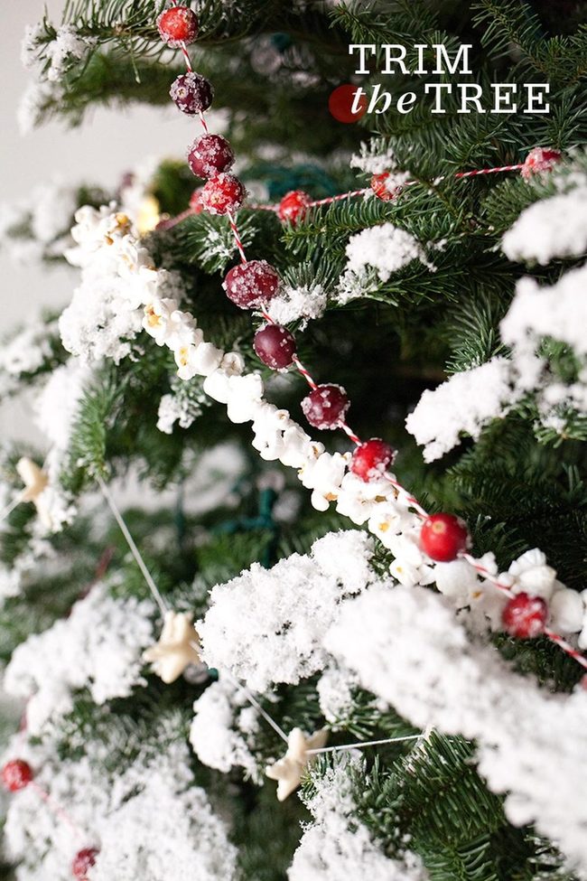 Frosted Pine With Popcorn Garland