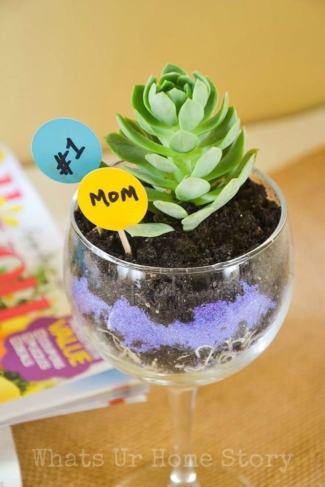 Colorful Sand Succulent Terrariums