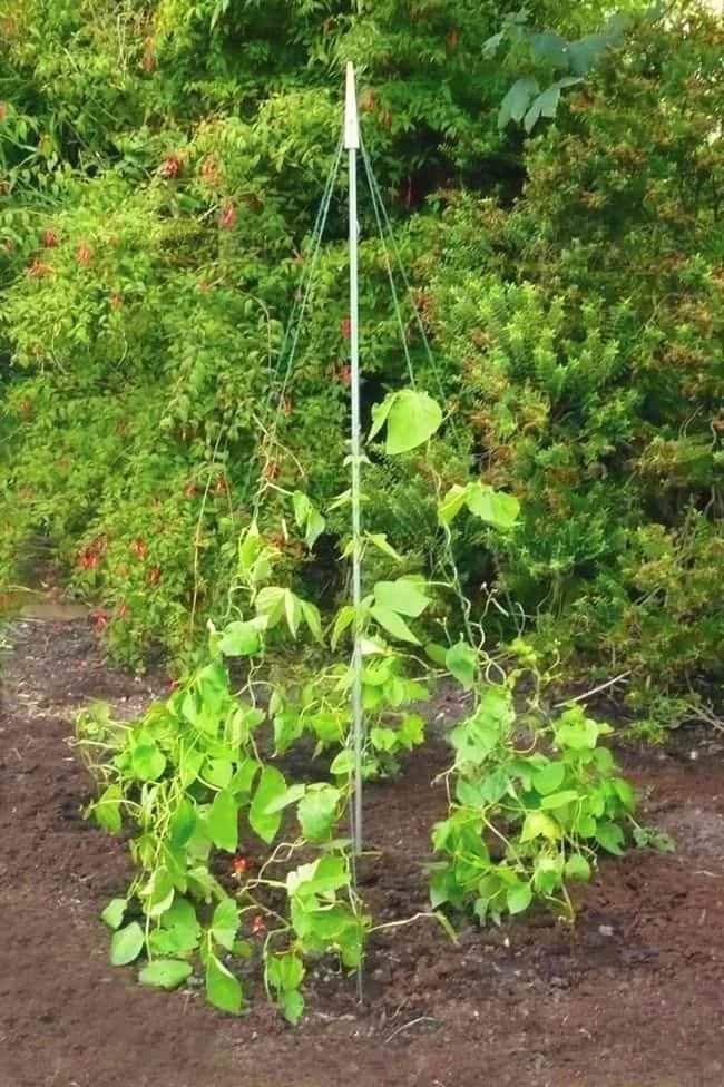 Jute Teepee Plant Tower