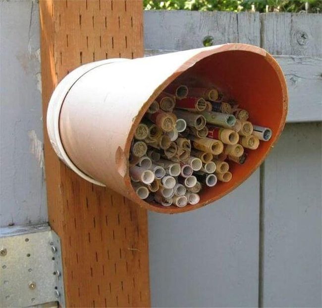 Bamboo Tubes For Beneficial Insects