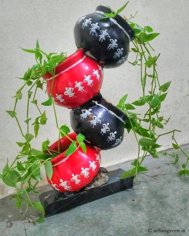 Red And Black Ceramic Plant Drama