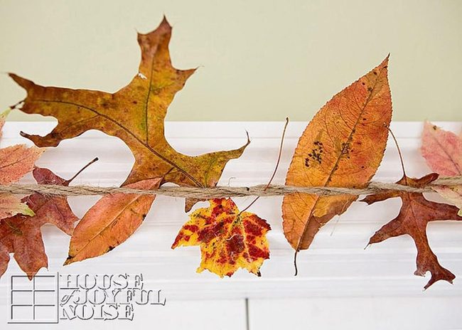 Autumn Leaves Draping Walls