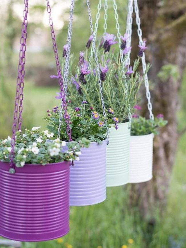 Tin Cans Bursting Blooms