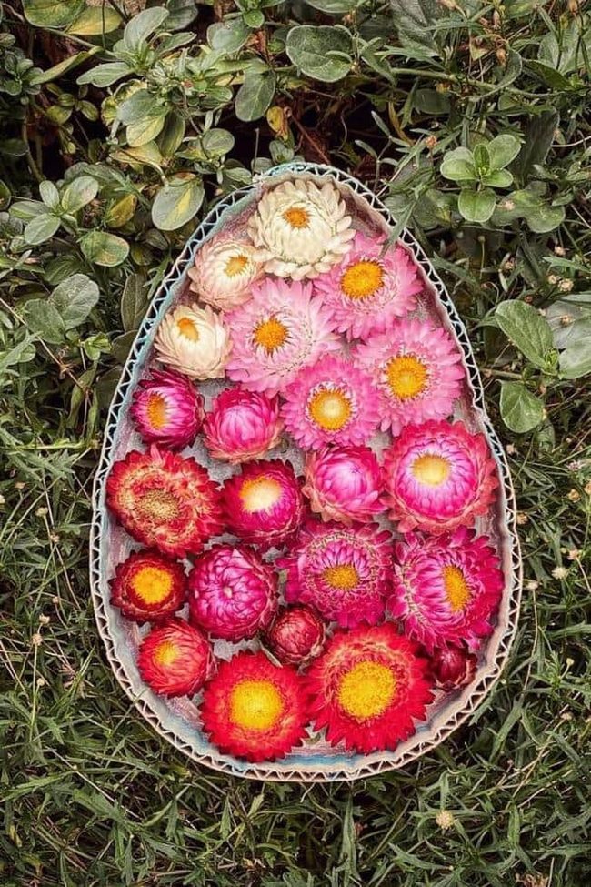 Blooming Pink And Yellow Easter Eggs