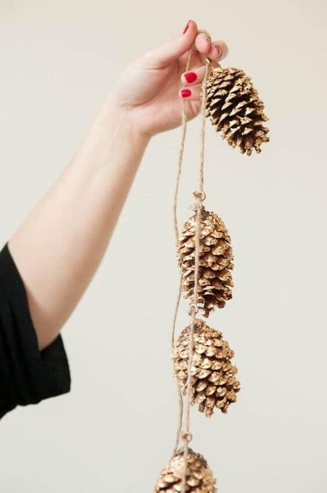 Golden Pinecones On Twine