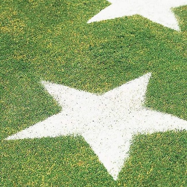 White Stars On Green Grass